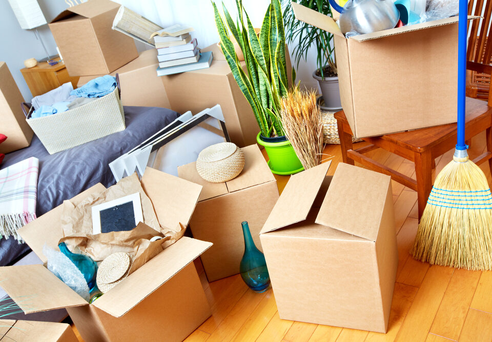 Understanding the Dynamics of Moving Company Prices